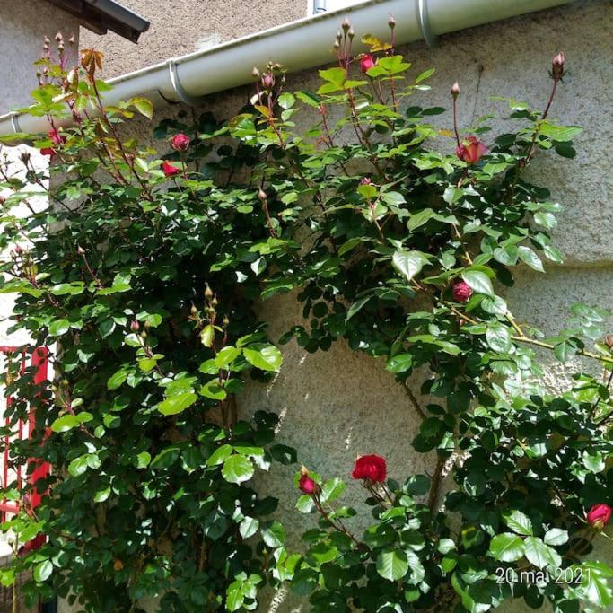 Maison Aux Portes Du Centre Historique De Dijon Avec 3 Chambres Et Garage Екстериор снимка