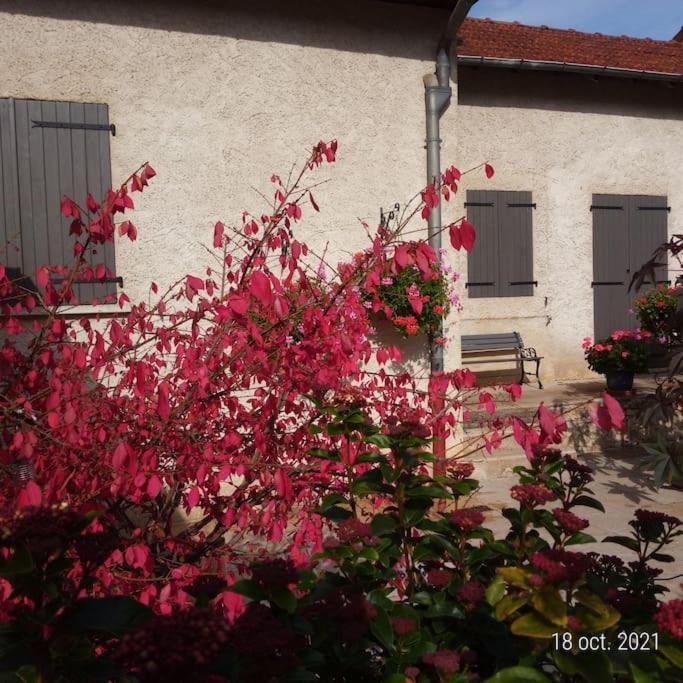 Maison Aux Portes Du Centre Historique De Dijon Avec 3 Chambres Et Garage Екстериор снимка